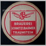 schnitzel (7).jpg